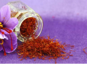 Nhụy hoa nghệ tây (saffron) có phải là thần dược chữa ung thư?